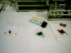 muestras